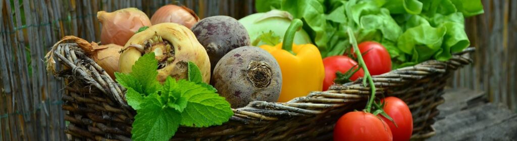 A basket of vibrant fruits and vegetables