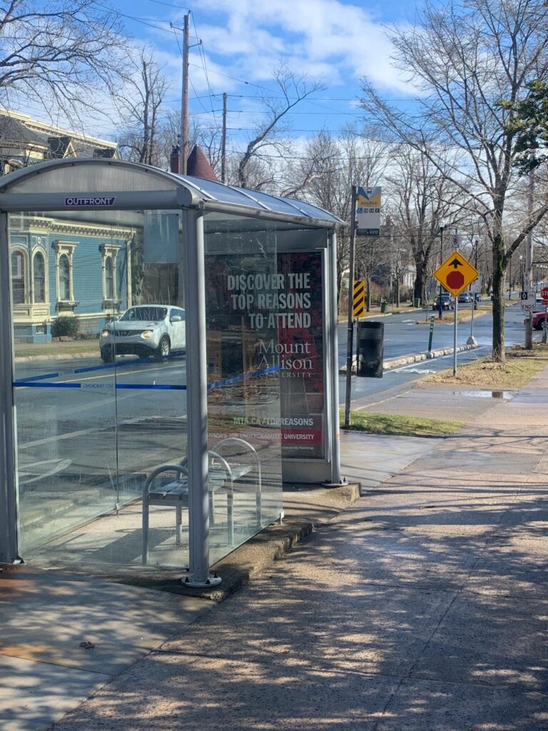 A bus shelter is placed along the boulevard between the road and the sidewalk. It has a bench with two seats inside.