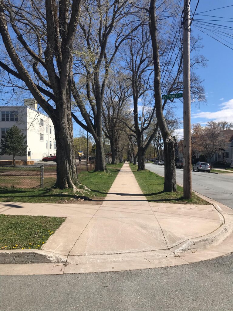 Wide, smooth sidewalks coming to a street corner with wide, even curb cuts. No tactile attention indicators present. Street is lined with mature trees.