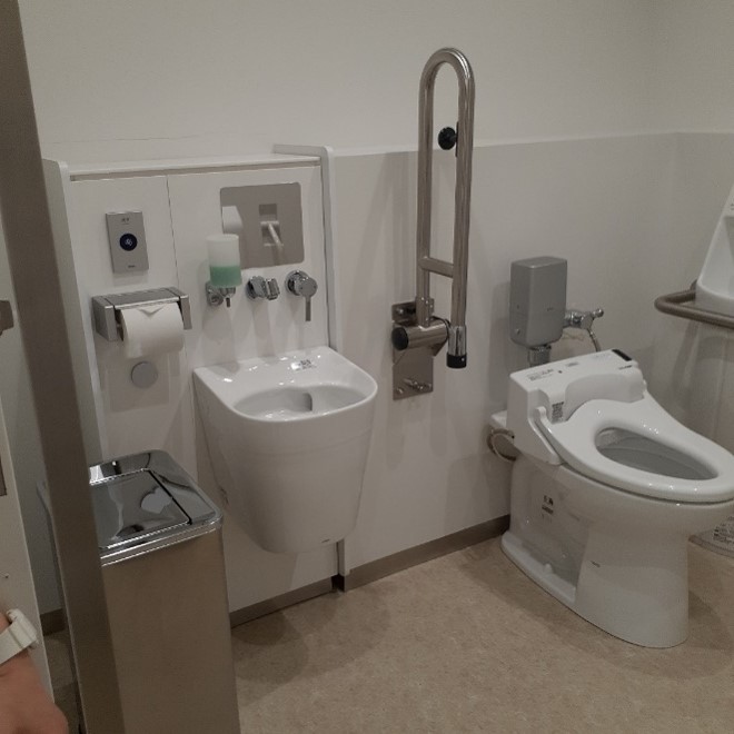 Single-user washroom stall with toilet, grab bars, and ostomy sink mounted to wall.